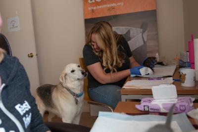 Erin caring for one of the dragon kittens while a dog watches