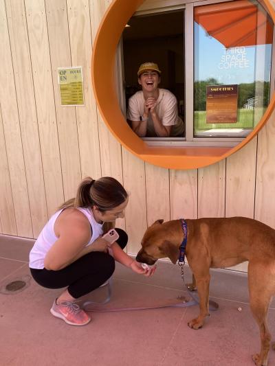 Person squatting down to feed Office Ben the dog a pup cup of whipped cream while a person at the shop window laughing