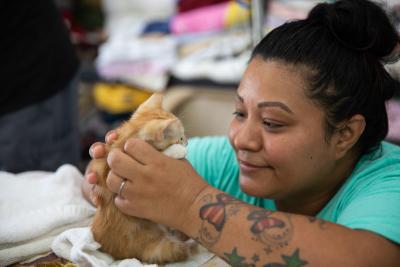 Person holding a small orange kitten at a Best Friends Network Partner location