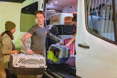 Person wearing a Best Friends T-shirt loading two carriers containing pets into a transport van during the Los Angeles wildfires