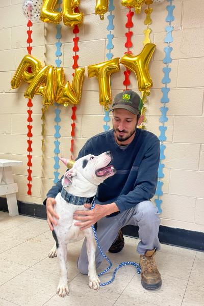 Sadie the dog with a person hugging her in front of streamers and balloons that say, 'Let's Pawty'