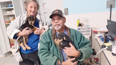 Couple holding two puppies