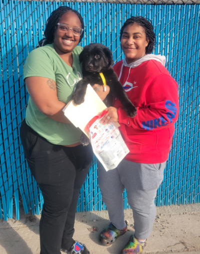 Two smiling people holding a big black puppy