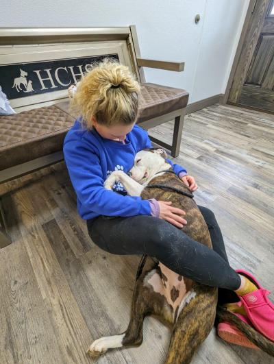 Person sitting on the floor with a big brindle dog lying in her lap while she pets him