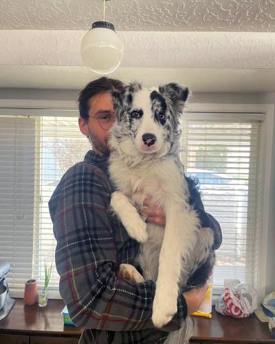 Elliot holding Cricket the puppy