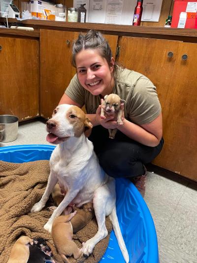 Mac the puppy being held, next to his mama dog and littermates in a blue kiddie pool