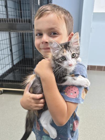 Luca the 6-year-old holding a kitten at a shelter