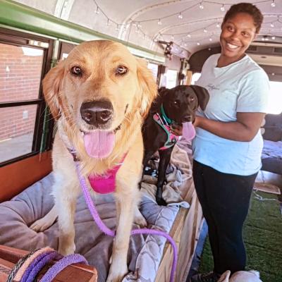 Two happy dogs and a smiling person on the Pawty Waggin