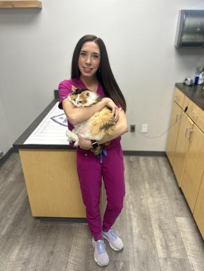 Person holding Blueberry the cat