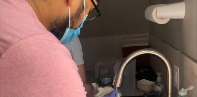 Volunteer Ramandeep Singh washing a cat in a sink