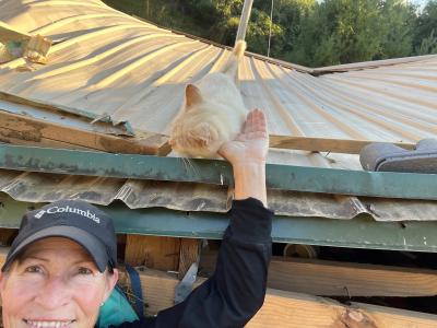 Blanco the cat on the roof with Nan Collins pointing up toward him