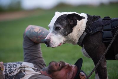 Person lying in the grass looking up and petting Rosita the dog