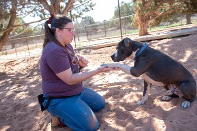 Slim the dog placing his paw onto a caregiver's hand