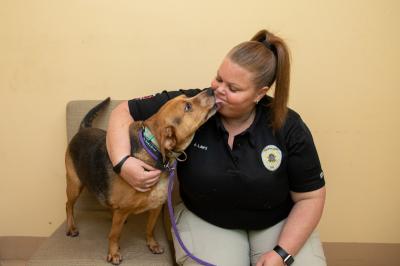 Dog kissing an animal control officer