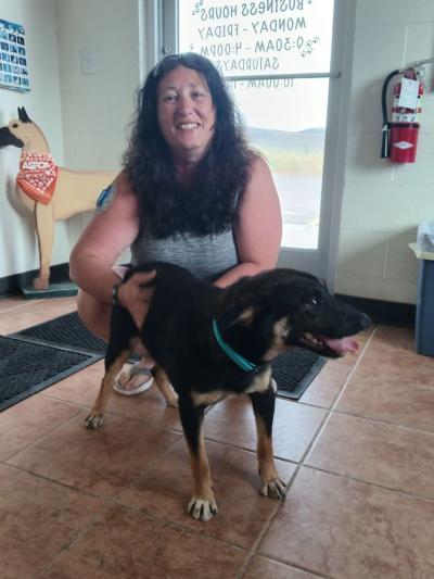 Smiling person kneeling down with her hands on a black and tan dog