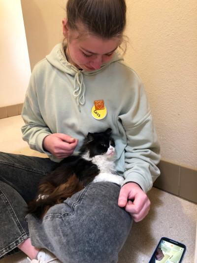 Jessie the cat on the lap of a Sanctuary volunteer