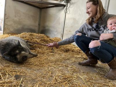 Smokey the pig with his adoptive family