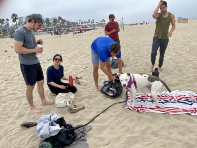 Spots at the beach on a blanket on the sand with a group of people