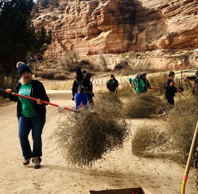 Starbuck's volunteers clearing tumbleweed