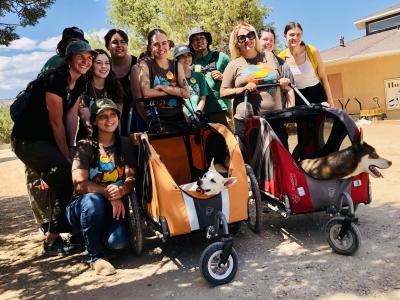 Starbucks volunteers taking two dogs out for stroller rides