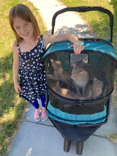 Child next to stroller holding a litter of kittens