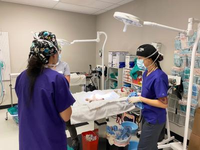 Cat getting fixed by two people as part of high-volume spay/neuter in Houston