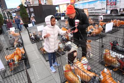 Child wearing winter coat holding the string to a balloon dog, surrounded by wire kennels containing other balloon dogs in Times Square