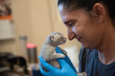 Smiling person holding a neonatal kitten