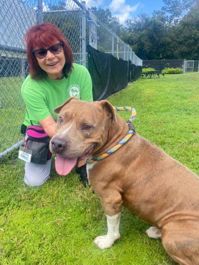 Volunteer outside in a fenced play yard next to a smiling dog