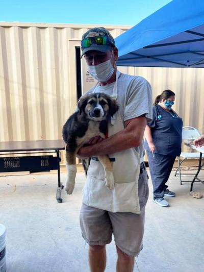 Person holding a puppy for services