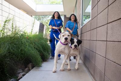 PACC staff Victoria Duarte and Divina Padilla walk dogs at the center.