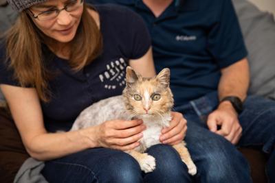 Cleopatra the cat sitting the laps of volunteers Alida and Gary