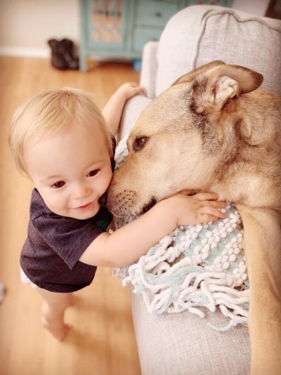 Toddler reaching up to Nash the dog