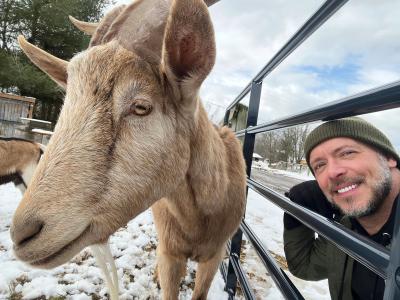 Goat in the foreground with smiling volunteer David Sprague behind a fence by the goat