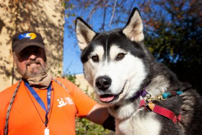 Scott wearing an orange Best Friends volunteer T-shirt next to Frankenweenie the husky