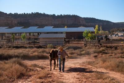 Curly Sue and volunteer Karin Hamilton walking on a path away from Horse Haven HQ