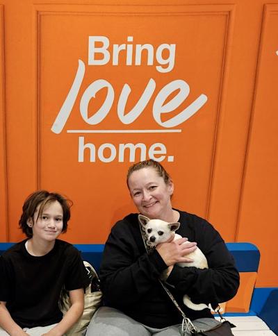 Wally the Girl the dog being adopted