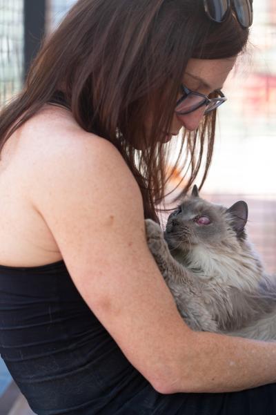 Sylvia the cat in the lap of a person with her paw reaching up to touch the person's arm