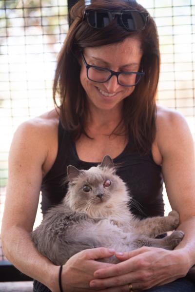 Sylvia the cat lying in the lap of a smiling person