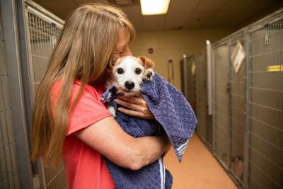 Person holding and hugging a small dog with dog kennels in the background