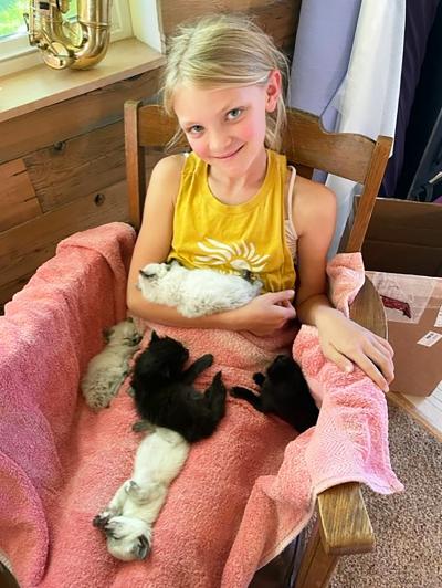 Young person sitting on a chair with a towel and litter of kittens on her lap, with one cupped in her arm