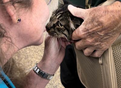 Peson kissing Butters the cat, whose head is peeking out of a carrier