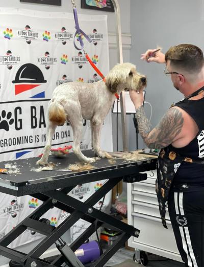 Person grooming a large white dog