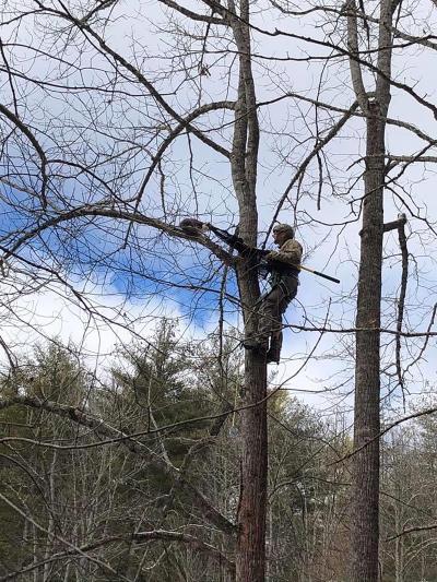 Spencer Cocanour rescuing a cat from a tree