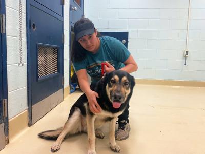 Person kneeling down with a shepherd mix dog whose tongue is out