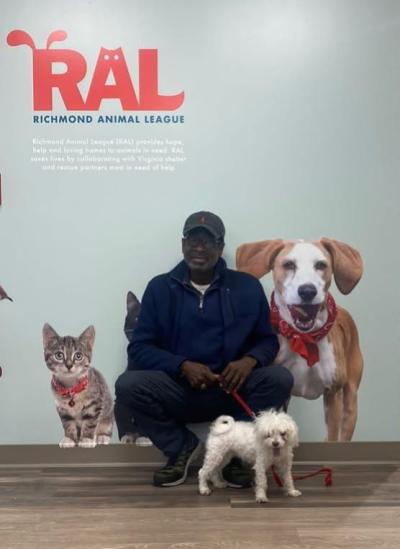 Lacy, a small white dog being adopted from RAL