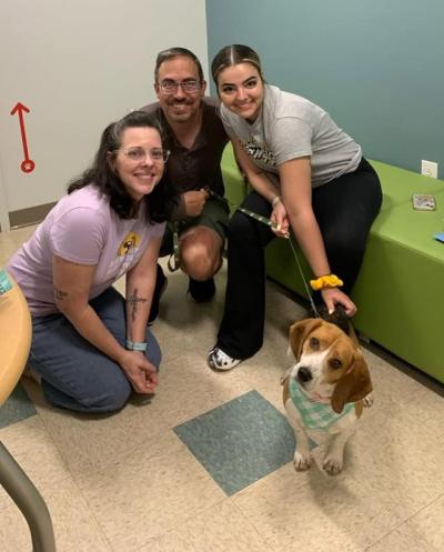 Ziggy the small dog being adopted by three people in a room