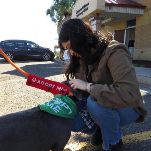 Jazmin Aguilar, pasante de marketing en refugios de animales (remota)