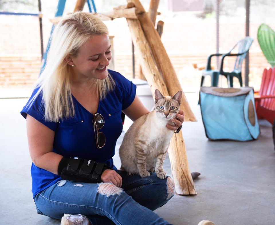 Person sitting in a screened in patio with a cat at Cat World