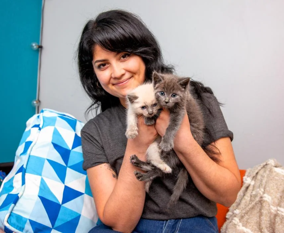 Kittens being held